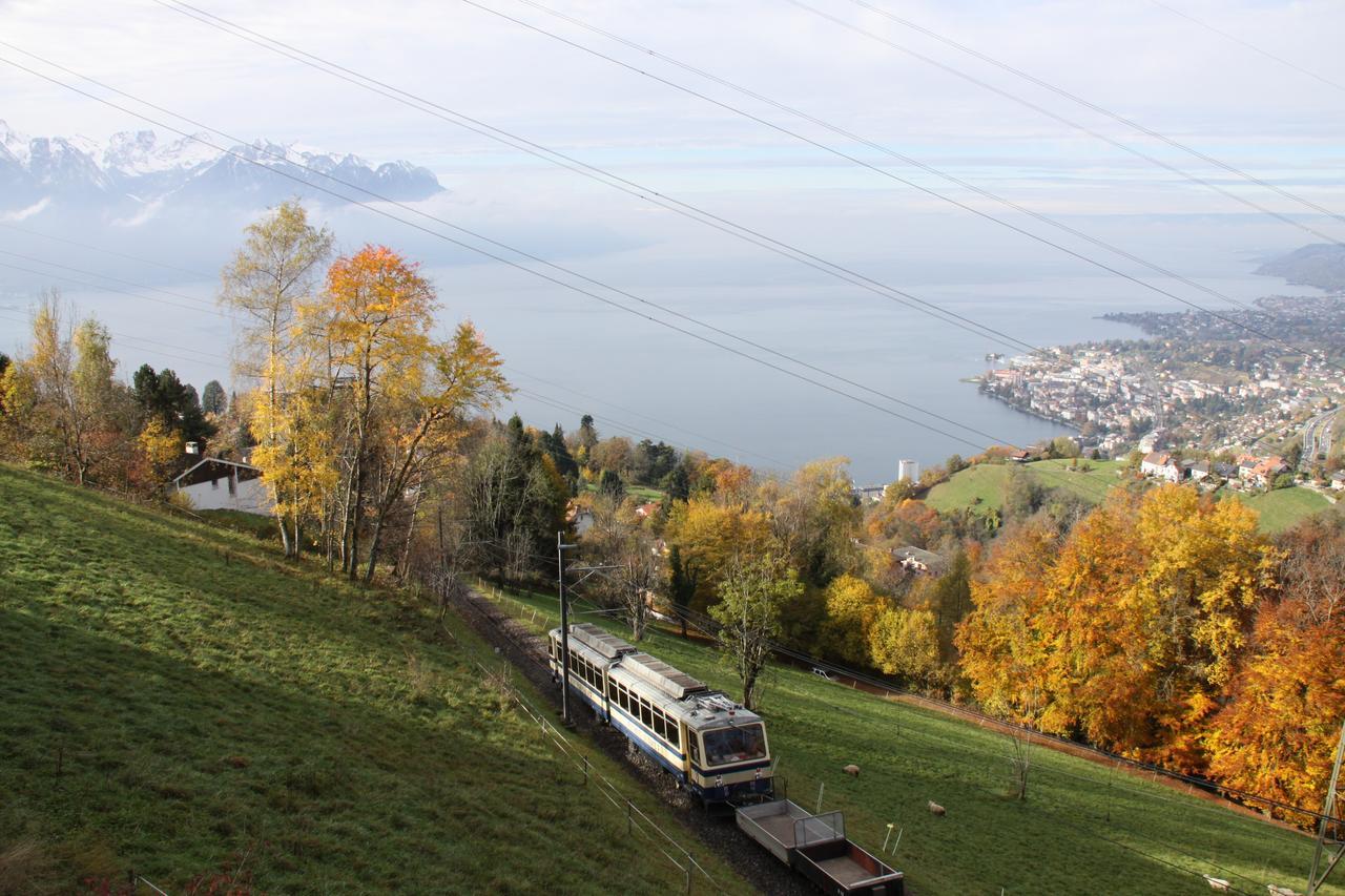 Gais Alpins Villa Montreux Exteriör bild